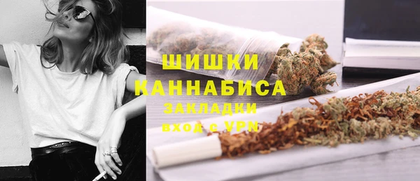 ГАЛЛЮЦИНОГЕННЫЕ ГРИБЫ Баксан