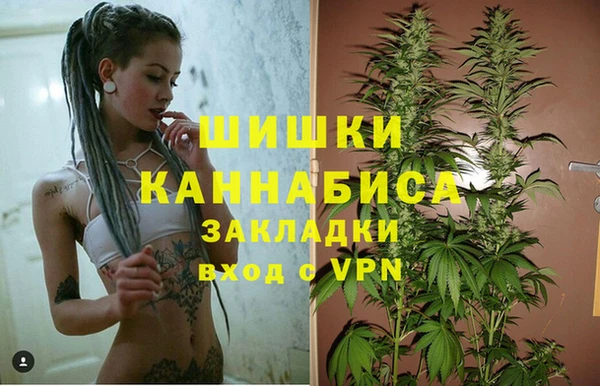 ГАЛЛЮЦИНОГЕННЫЕ ГРИБЫ Баксан