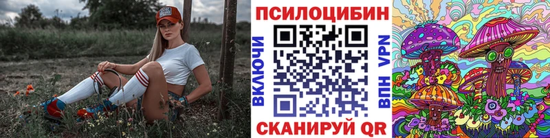 Галлюциногенные грибы Cubensis  это какой сайт  Вяземский 